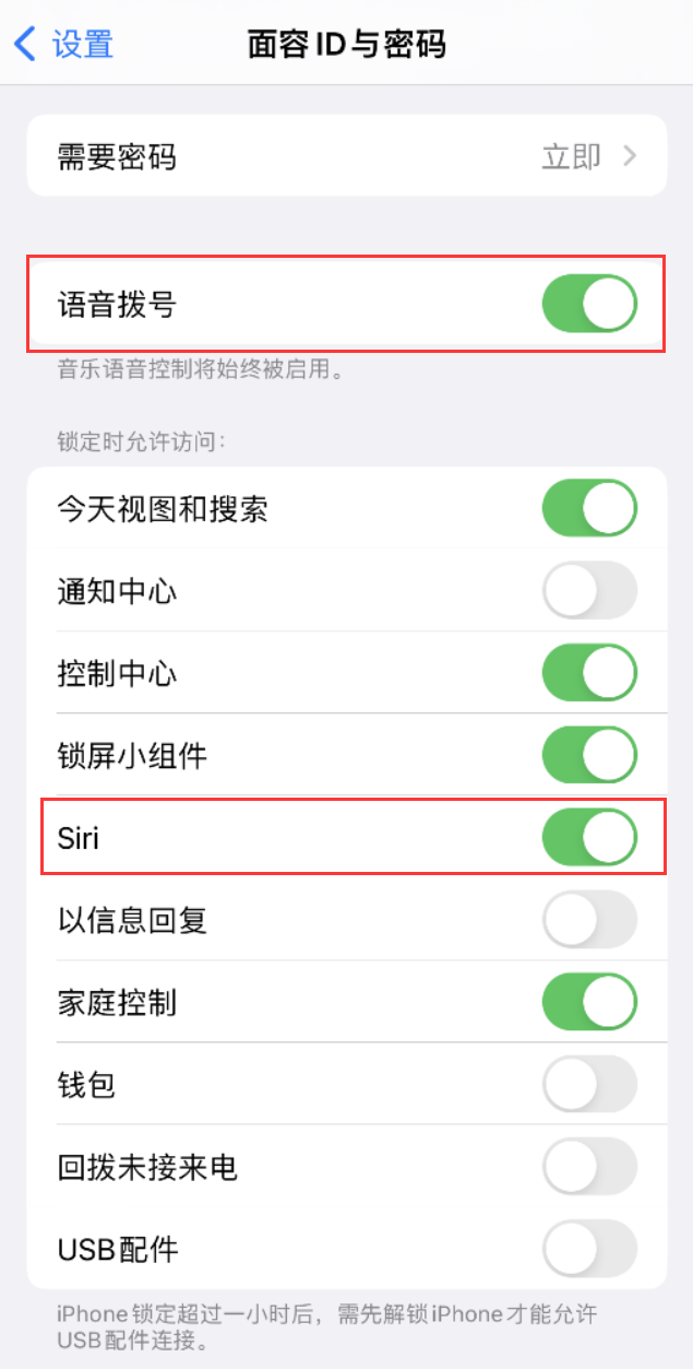 市中苹果维修网点分享不解锁 iPhone 的情况下通过 Siri 拨打电话的方法 